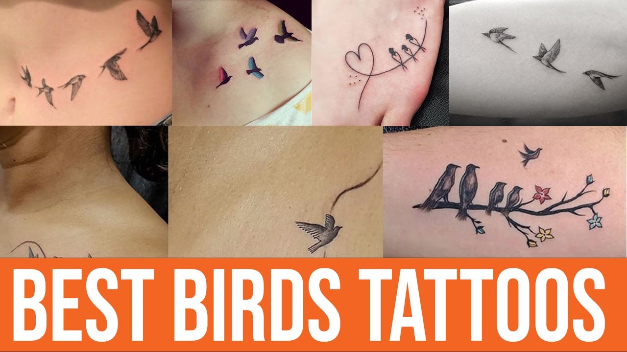 Top 50 Best Birds Tattoo