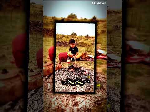 وقف يا تاريخ