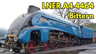 LNER A4 4464 Bittern — The Other Thoroughbred of the Steam Age #Bittern #britishrailways #fyp #lner