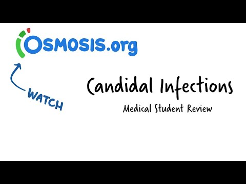 Кандидозные инфекции: видео об исследовании осмоса
