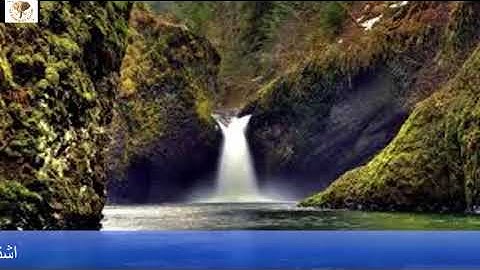 #سوره_الفرقان للشيخ فارس عباد تلاوه خاشعه من ايات الله