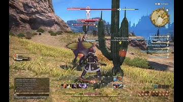 Review Final Fantasy XIV ARR (Thaumaturge, gladiator, pugilist)