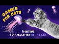 Jellyfish Cat Games | CAT ENTERTAINMENT fish 🐟 Fish Video For Cats