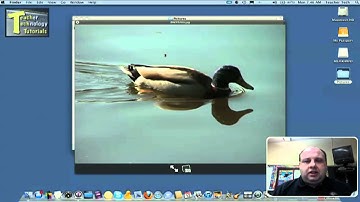 How to Preview a File Using Your Spacebar