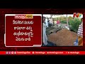 Girl killed in elephant attack in Andhra Pradesh