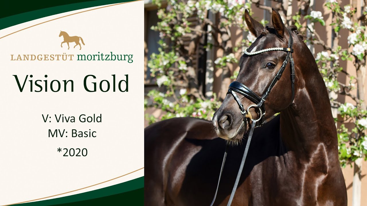 VISION GOLD v. Viva Gold - Basic