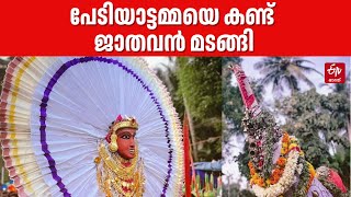 കടലുണ്ടി വാവുത്സവം 2025 | പേടിയാട്ടമ്മ ദര്ശനം | മലബാറിന് ക്ഷേത്രോത്സവങ്ങളുടെ കാലം  | Festival