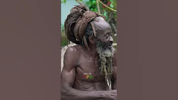 Jamaican Rasta Rasta Jamaica Rastafari Lion Fire Jamaicaculture Wisdom 