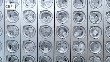 CBFI 20 tons Ice Cube Machine