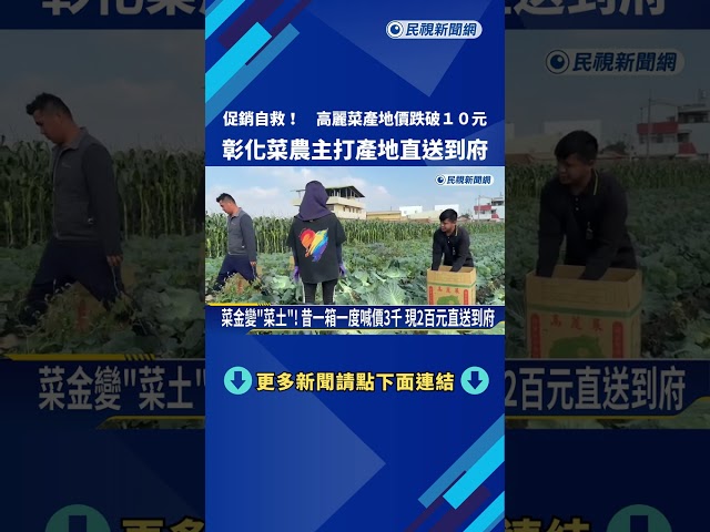 斷崖式崩盤! 高麗菜產地價"1公斤跌破10"元－民視新聞
