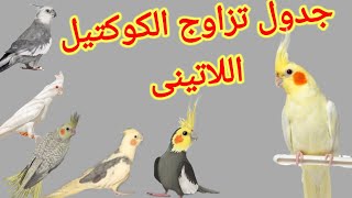 ناتج تزاوج كوكتيل لاتينى من طفرات الكوكتيل