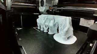 Timelapse Orca