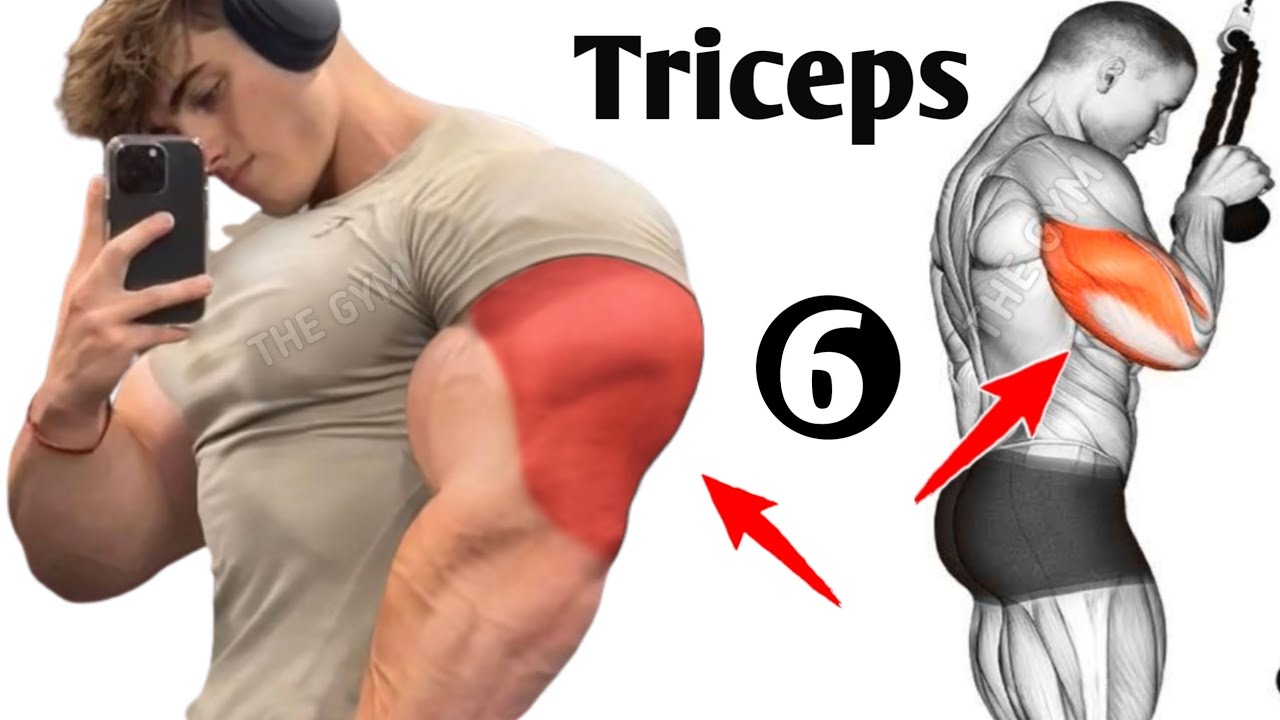 6 Exercises for Massive Triceps Growth Fast - YouTube