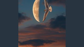 Moon bby (2PF)