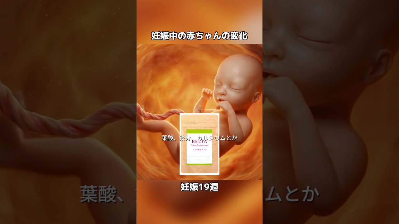 我が家はずーっとこれ!ベルタの葉酸サプリ飲んでたマタママさん、先輩ママいますかーー!!! #pr #妊娠初期 #妊娠 #つわり #葉酸 #マタママ #ベルタ #ベルタ葉酸サプリ
