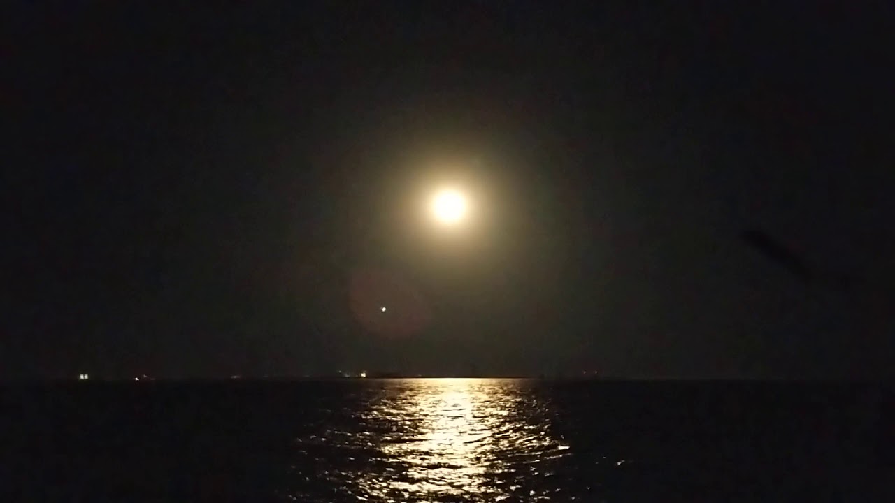 CRS-20 Booster Landing