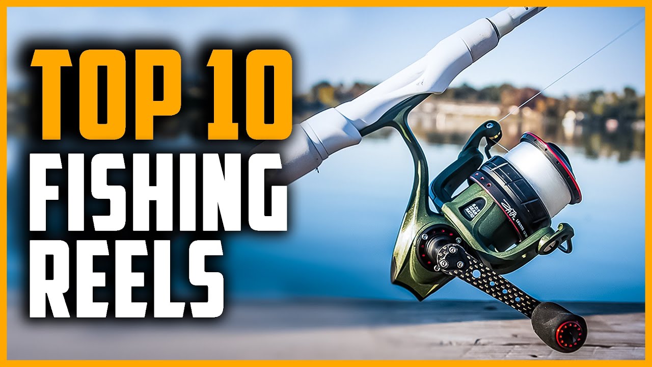 Best Fishing Reels 2024  Top 10 Best Fishing Reels On