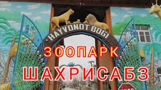 #Shahrisabz#zoopark#hayvonot_olami ШАХРИСАБЗ ЗООПАРК ХАЙВОНОТ БОГИ  1-КИСМ