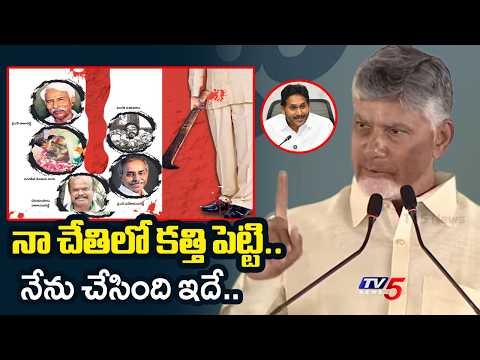 CM Chandrababu on YS Viveka Case | Sakshi News Article | AP News | TV5 News - TV5NEWS