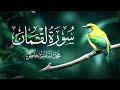 سورة لقمان بصوت الشيخ محمد أسامة سورة لقمان بصوت الشيخ محمد أسامة