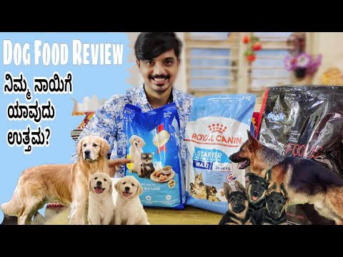 puppies food Review| Dog Food Review in kannada| Best Dog dry ready