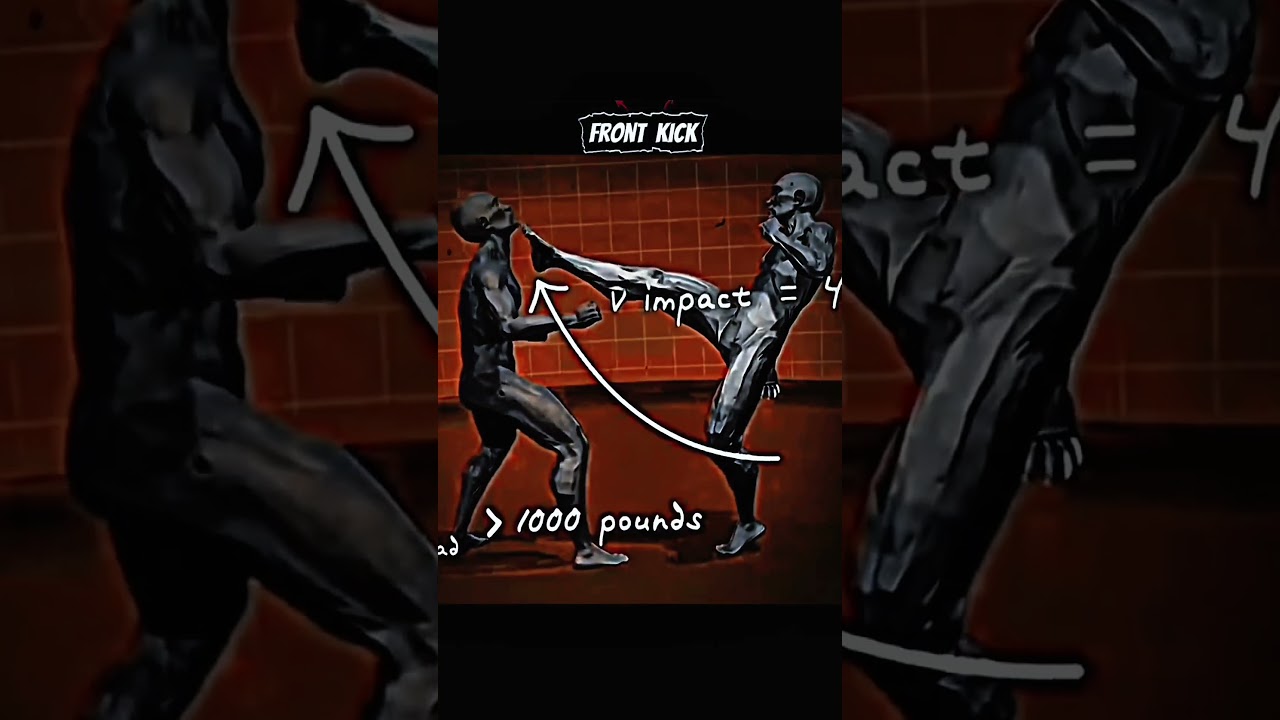 Learn front kick skill 💯✅ #mma #boxing #muaythai #shorts