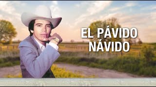 El Pávido Návido - Chalino Sanchez (Letra Oficial) chords