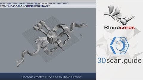 Rhinoceros, video 1. Mesh processing. Mesh deformation. Text on mesh. 3D scan processing.