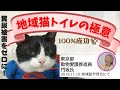糞尿被害ゼロへ、地域猫トイレ設置の極意【東京都 動物愛護推進員 門坂氏】