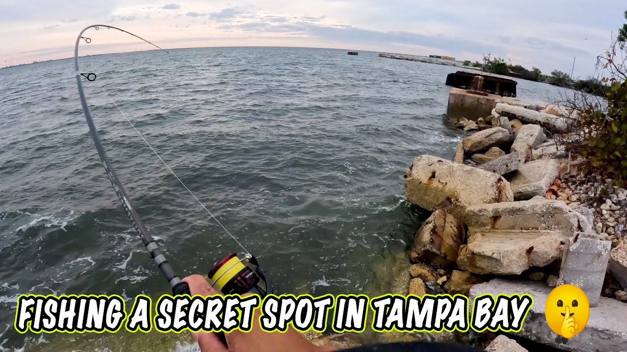 This SECRET Fishing Spot Saved The Day