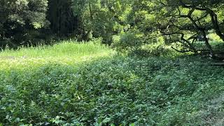 IMG 9930