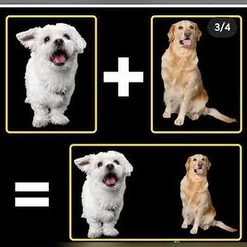 Collage maker in python - YouTube