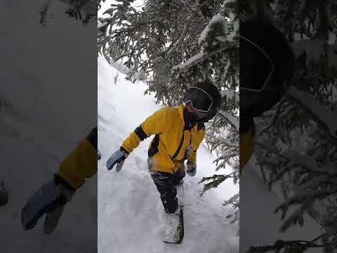 Sketchy Snowboard Fall