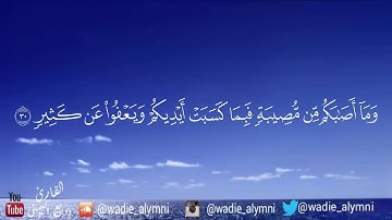 تلاوة رائعه من سورة (الشورى) وديع اليمني