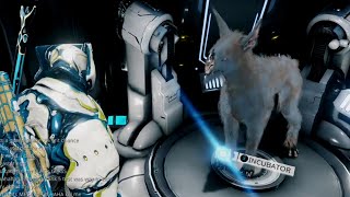 Warframe Evolving Maturing My Kubrow For Combat