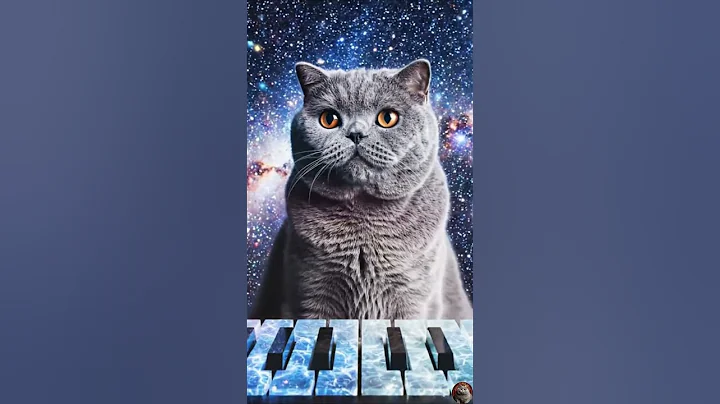 Video 11413751: funny cat british shorthair, britishshorthair cat, collection