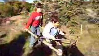 Christmas Tree Cart Ride