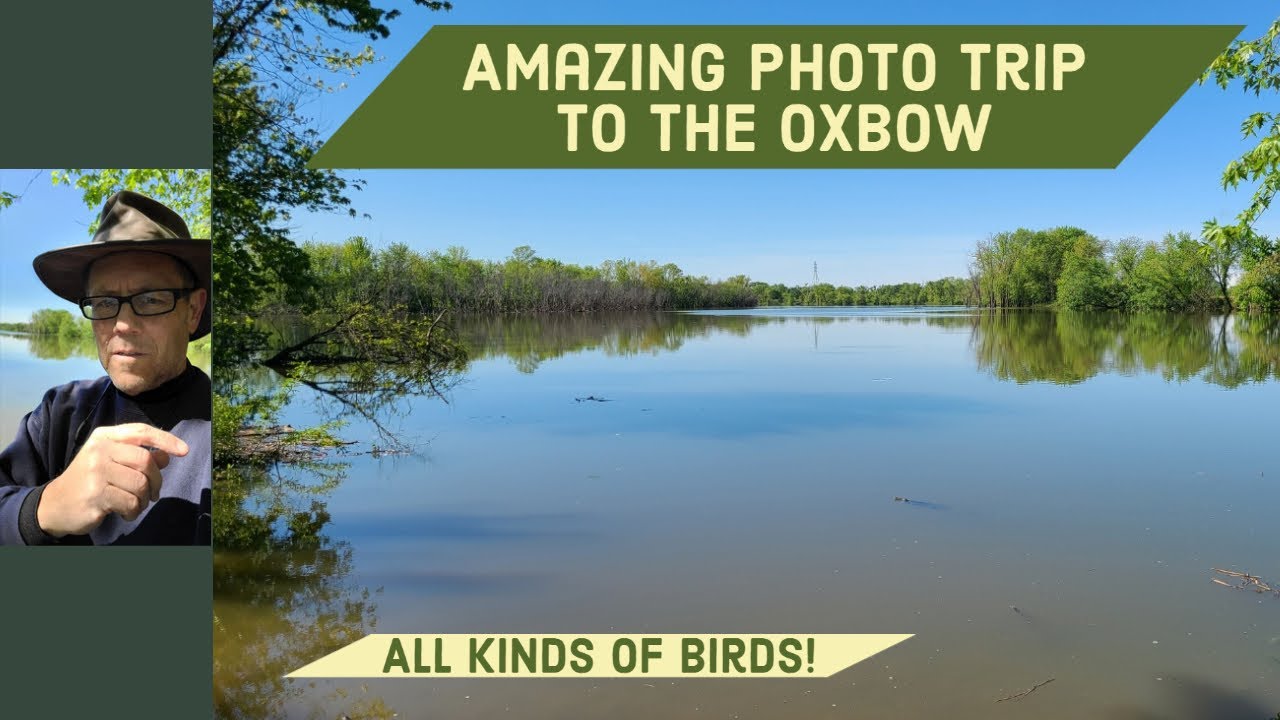 Amazing Photo Trip to the Oxbow Lake in Lawrenceburg, IN YouTube