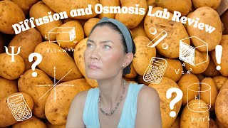 AP Biology Lab Diffusion and Osmosis
