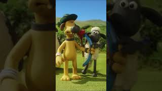 Bắn Cung Các Nhà Vô Địch Cừu Những Chú Cừu Thông Minh