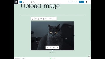 One click upload external images to your media library in Gutenberg - Quick Tip