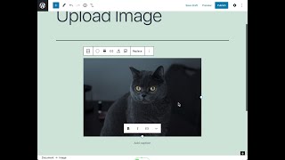 One click upload external images to your media library in Gutenberg - Quick Tip