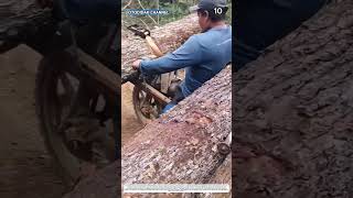 Timber Hauling: How Motorized Tools Turn Raw Logs Into Transported Materials 
