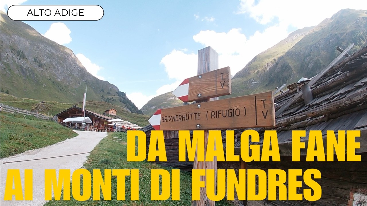 Hai mai camminato su un sentiero così bello? 🍃🥾