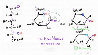 Alpha,Beta |D&l glucose|Fisher to howarth conformationتحويل الجلوكوز من سلسله مفتوحه الي سلسله مغلقه