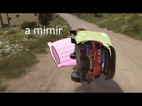 WRC Generations needs to have a few things sorted...