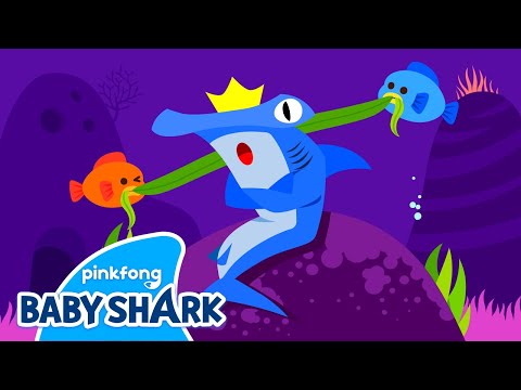 邦楽 Hammer head shark Baby Youth Hammer Head Shark / Baby youth