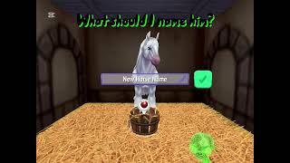 She Is My Dream Vanner