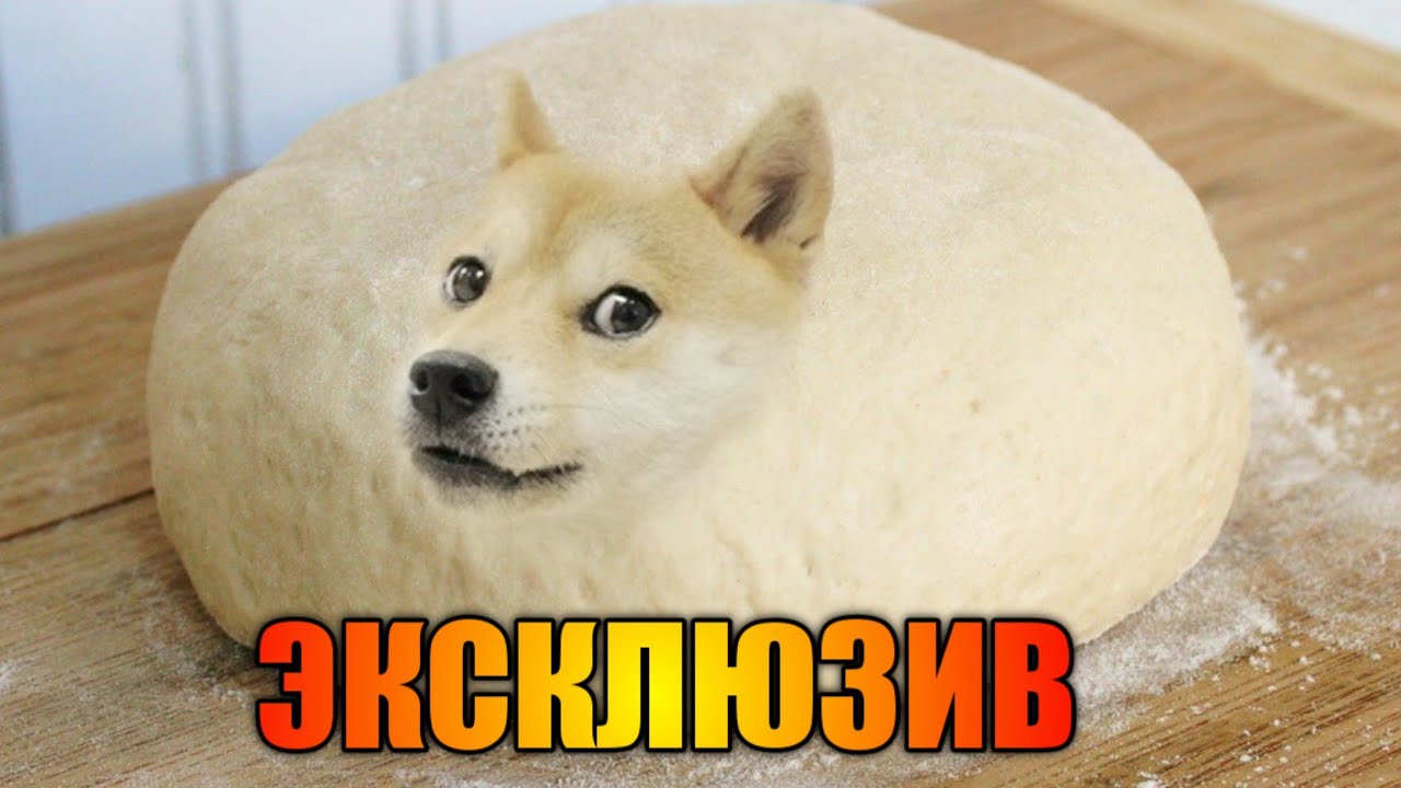 МИХАЛ ПАЛЫЧ | ДОГГИ ВЕРСИЯ 🐶🐕 | ТЕЛЕАТЕЛЬЕ | ИНСТРУКЦИЯ | РЕМОНТНОЕ ...