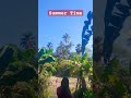 Sunny day summer time countryside youtubeshorts bukid bukidislife